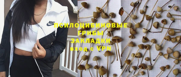 прущая мука Богородицк